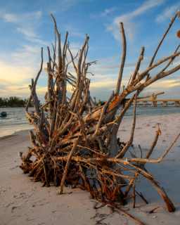 Coquina Beach 3