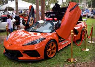 Corvette's On The Circle