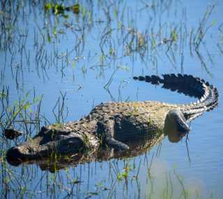 Myakka State Park